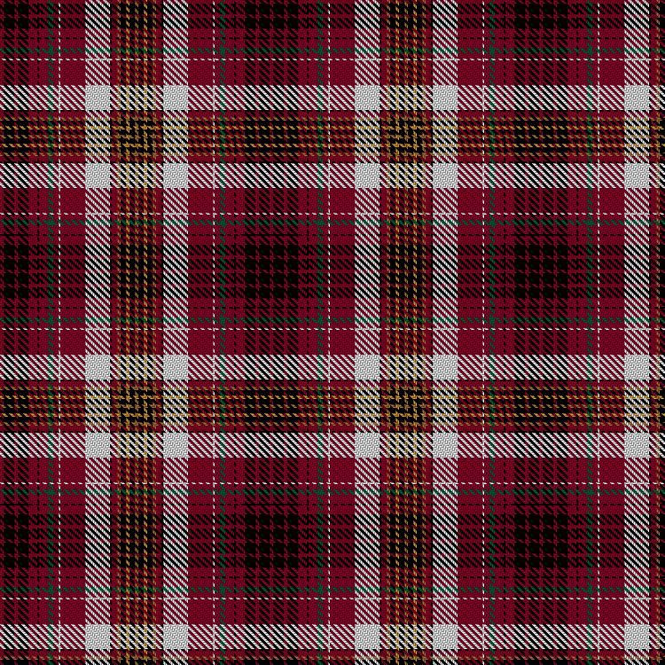 Aichberger, K & Ansorge, E Tartan