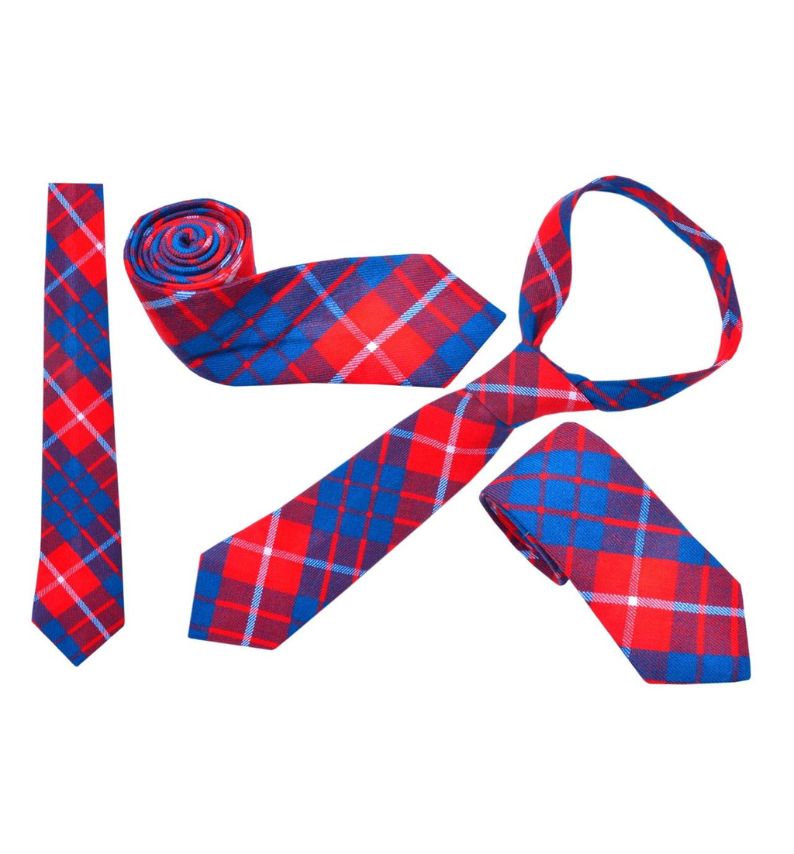 Tartan Neck Tie in Hamilton Red Tartan
