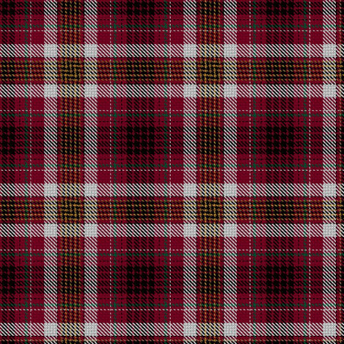 Aichberger, K & Ansorge, E (Personal) Tartan Fabric