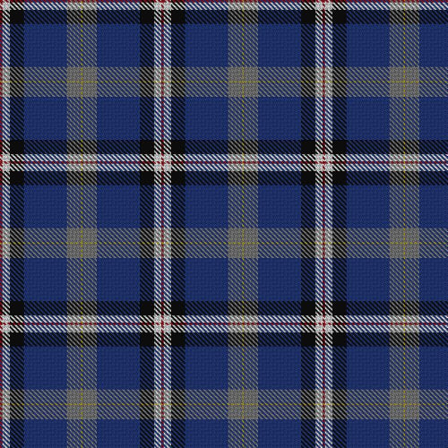 Alan Stone Family (Personal) Tartan Fabric