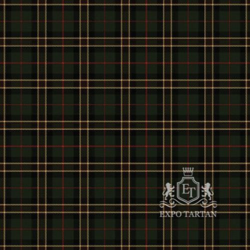 Men's Cornish Countryside Swatch showing a dark green and black sett, intricately intersected by golden yellow and fine red overchecks